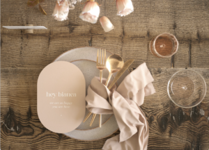 rent velvet napkin in atlanta